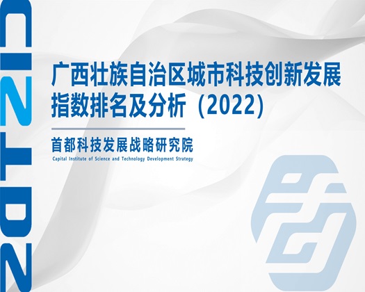 骚货欠槽【成果发布】广西壮族自治区城市科技创新发展指数排名及分析（2022）